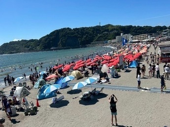 写真:逗子海水浴場