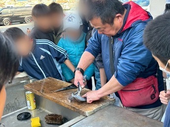 アオリイカをさばくヤマリヤ・中川さんの手元を真剣に見つめる児童らの写真です