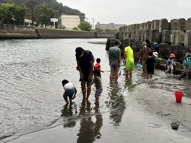 河口のさかな観察会の様子