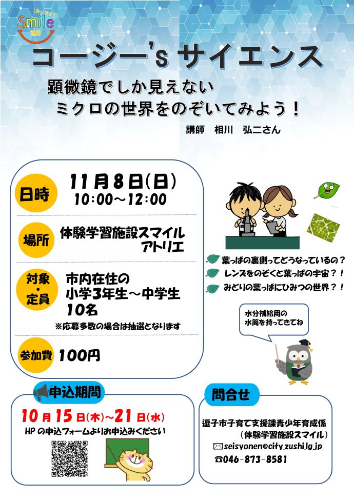 チラシ