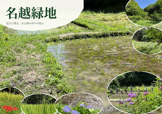 名越緑地の写真