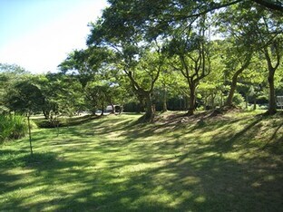 写真：池子の森自然公園の外観