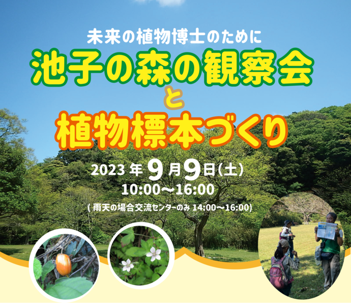 池子の森の観察会 植物標本づくり