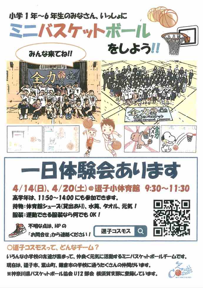 チラシ