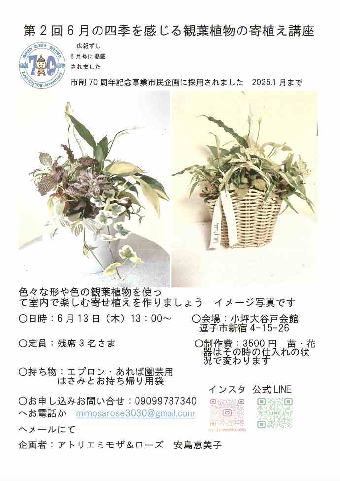 チラシ