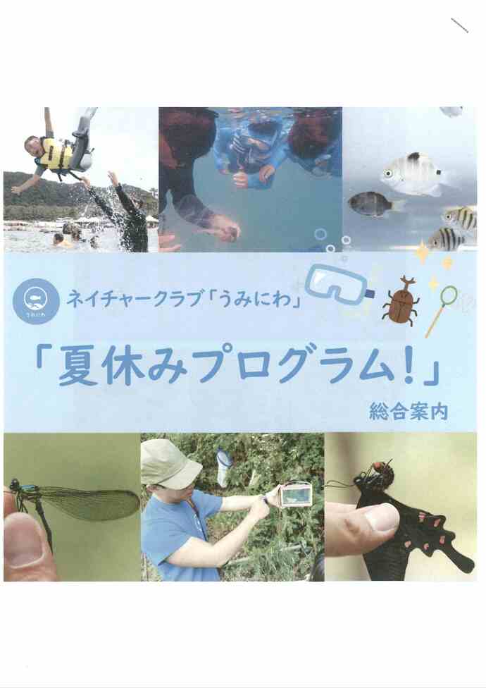 チラシ