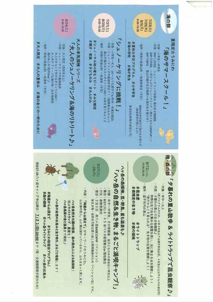 チラシ
