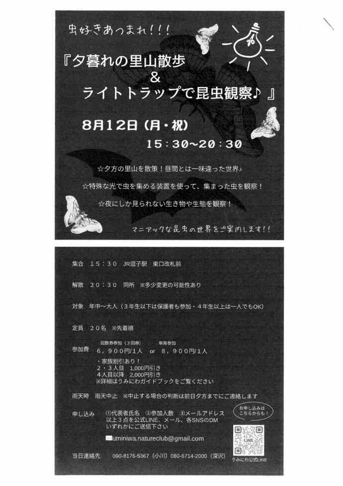 チラシ