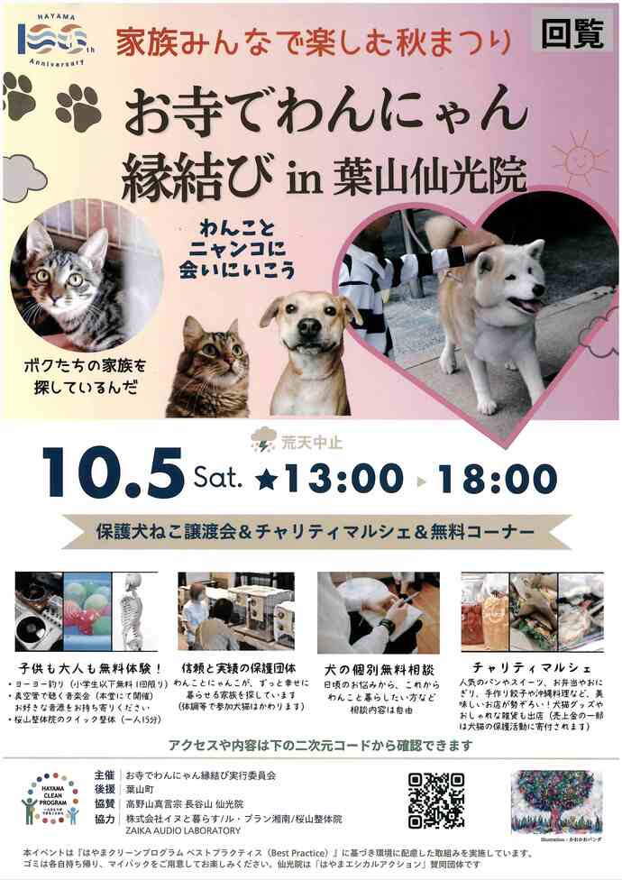 チラシ