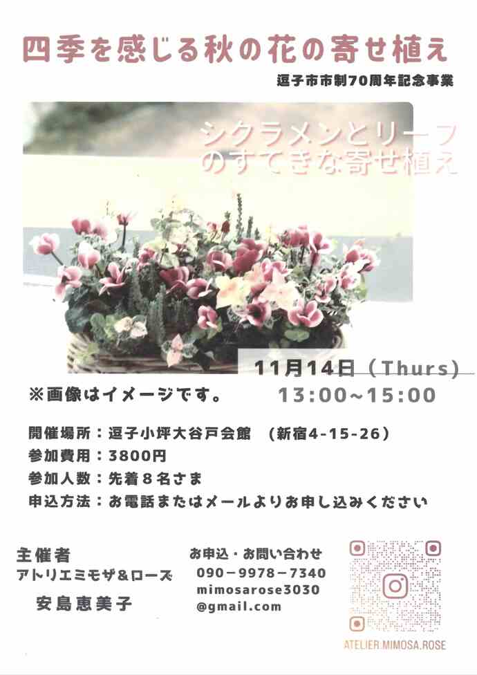 四季を感じる秋の花の寄せ植え