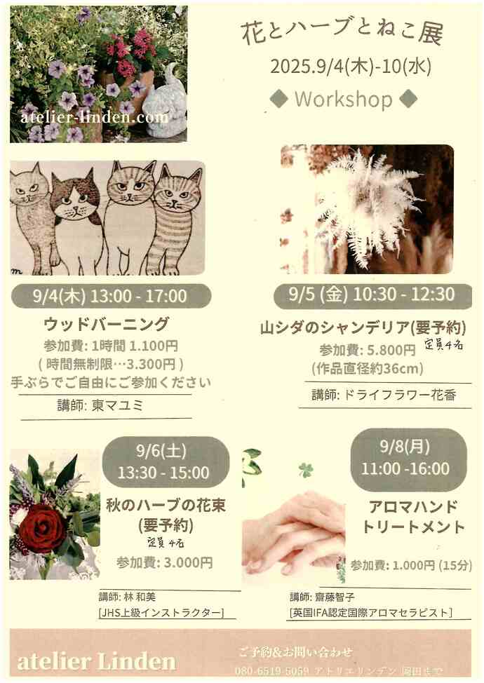 チラシ